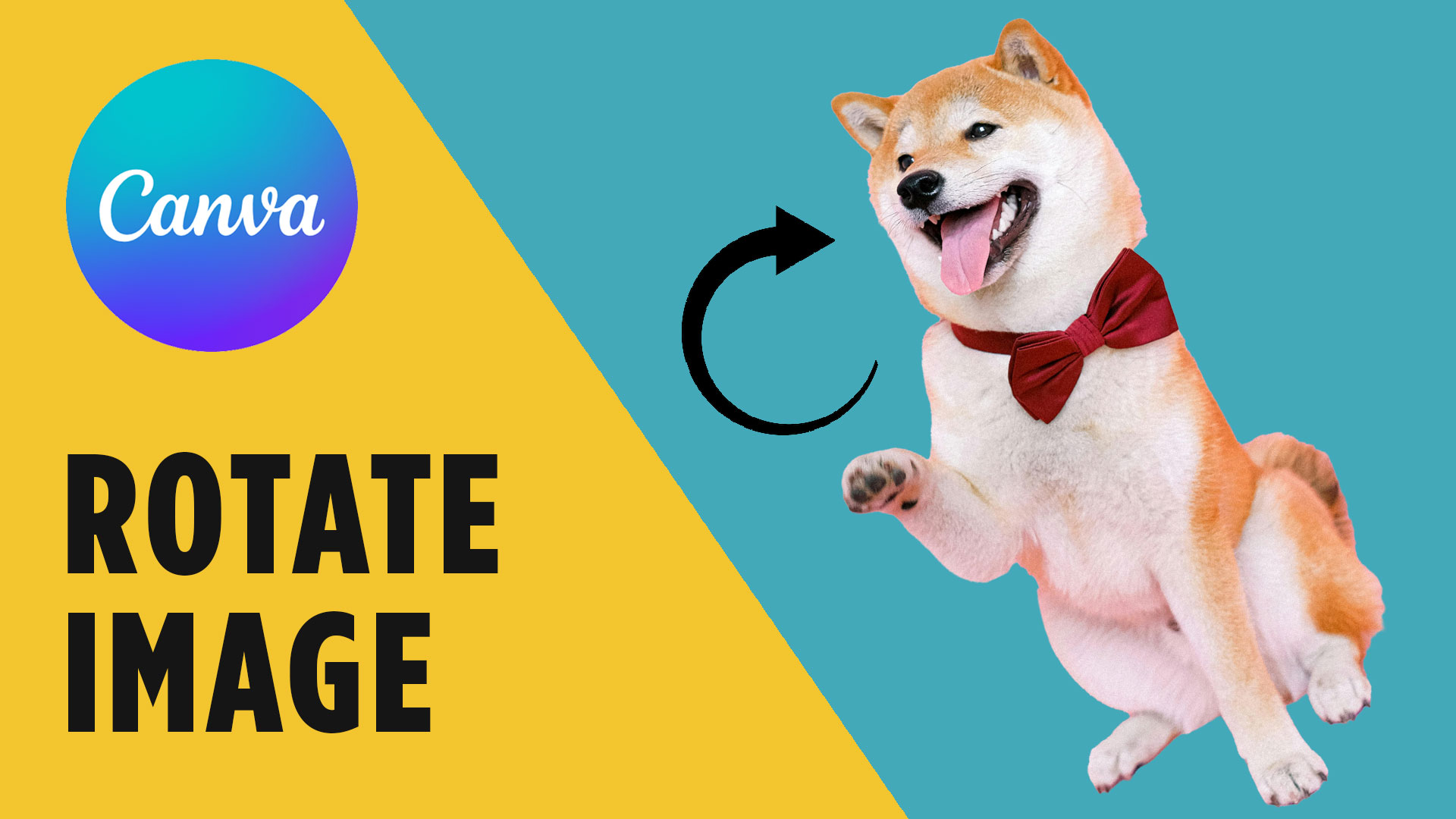 How to Rotate an Image in Canva (Quick Step-by-Step Guide)